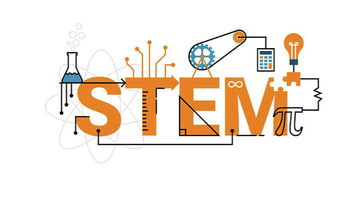 STEM Excellence Award